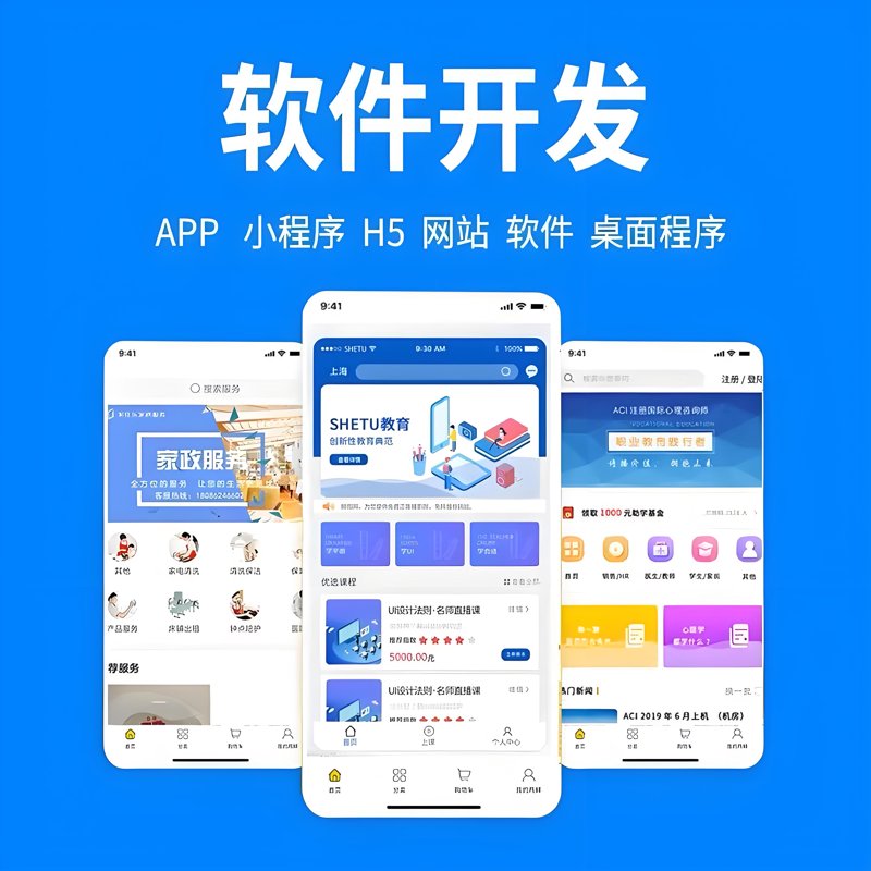 上海软件开发行业：技术创新与应用前景
